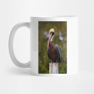 Pelican Mug